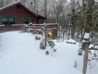 Cozy 2-bedroom, one bath cabin in amazing Blue Ridge with Wi Ac