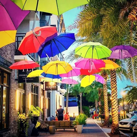 Chic Cottage Walk to Downtown Dunedin & Waterfront Pets Ok- Barefoot Parrot 3 Отели в г. Данедин