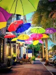 Chic Cottage Walk to Downtown Dunedin & Waterfront Pets Ok- Barefoot Parrot 3