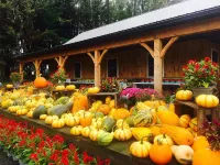 Cozyup@Catalan Caseta~Fall Foliage, Harvest Fest!