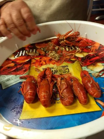 Small Studio Condo -Private Balcony -Free Parking Отели в г. Мобил