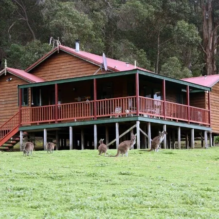 Cabins Nestled in 170 Acres of old Growth Forest Near the Valley of the Giants Отели в г. Уолпол