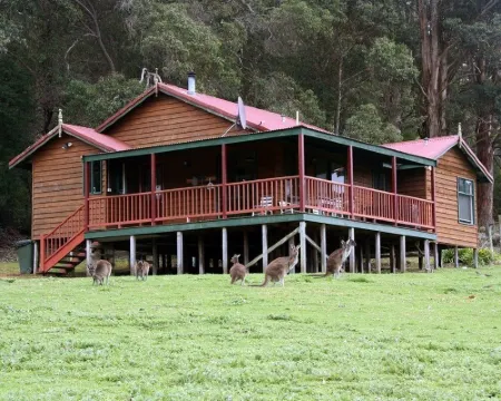 Cabins Nestled in 170 Acres of old Growth Forest Near the Valley of the Giants Hotels in Walpole