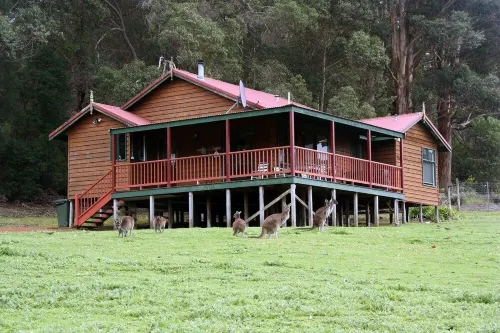 Cabins Nestled in 170 Acres of old Growth Forest Near the Valley of the Giants Hotels in Walpole