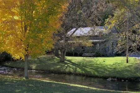 CONDO, 1 Block to Parkway,  PRIVATE  WiFi ,  POOL, King Bed, WALK to ISLAND