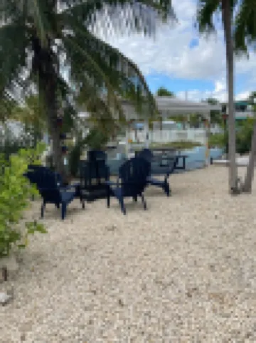 Dates available Oct, Nov, Dec 2023