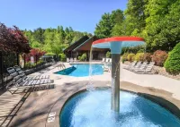 Jaw Dropping View in Black Bear Falls - Private Pools