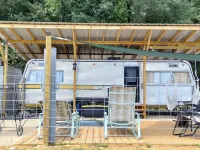Vintage Restored Glamper - Unique Tiny Home w/ Plunge Pool & Patio セントクレアのホテル