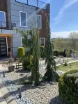Gem on the North Hill with Breathtaking rooftop views & Jacuzzi Hotels in der Nähe von Salvation Army Federal Way