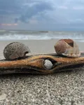 Cocoa, Beach house