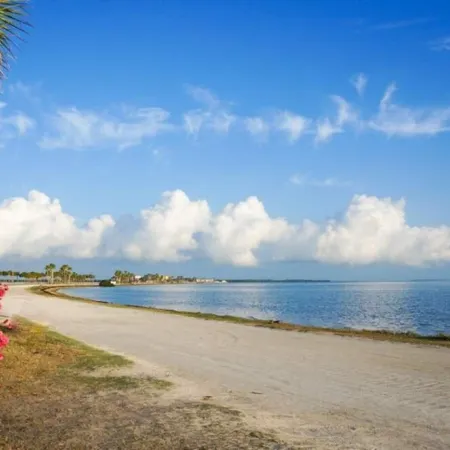 Beautiful Condo in Dunedin. 5 min from the beach!