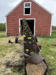 Coastal Maine Cozy Farmhouse for Family Vacations & Wedding Ceremonies Hotels near North Of The Border