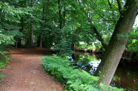 Nature vacation on 23000 m² natural site