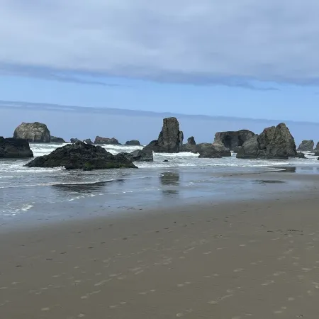 Ocean Front ON the Beach - 14 Minutes to Bandon Dunes Golf! Spectacular Views!