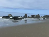 Ocean Front ON the Beach - 14 Minutes to Bandon Dunes Golf! Spectacular Views! - 4성급