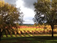 luxuriously appointed new large guest suite in a landmark Victorian