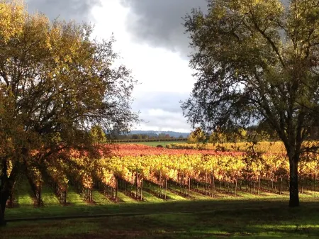 luxuriously appointed new large guest suite in a landmark Victorian