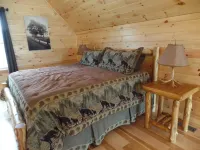 A luxurious cabin quietly tucked away in the woods, pet friendly, WiFi