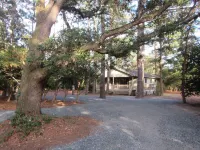 Remodeled cottage with plenty of outdoor space and privacy Hotels near Public Beach Access
