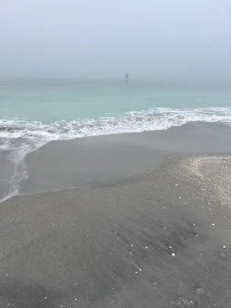 Fins Up - 3/2 Pet Friendly Pool Home Sunny SW Florida Отели в г. Порт-Шарлотт