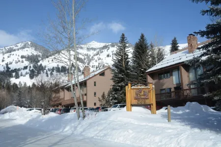 Slopeside Family Ski in, ,Wifi, Hot Tub, Pool, Yellowstone, Netflix