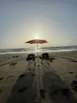 Condo Super Close to the Beach with a View of Spacex Launch in the Sky!