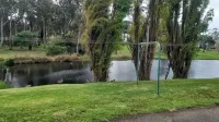 Tranquil retreat on Middleton Road, mid-way between the city and the sea!