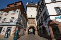RHENANUS: Jacques Spiegel Hotel in zona E.Leclerc SELESTAT ZI NORD