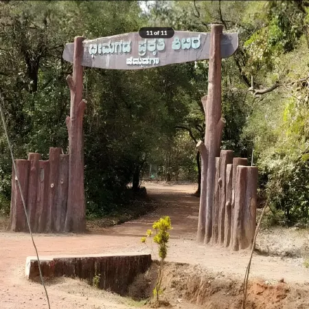 Bhimgad Adventure Camp- Jungle Lodges