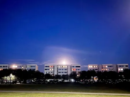 NEU Zweite Liebe Fehmarn am Südstrand