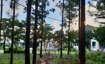 4. 제주 더갤러리모..