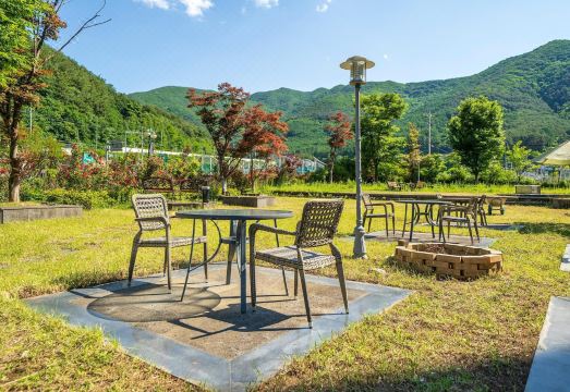 정선 야경 및 조식