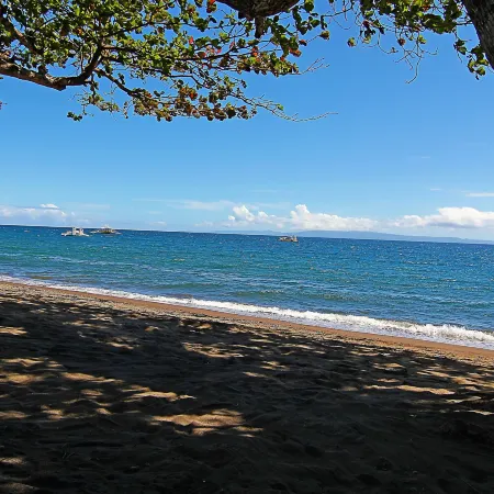 Vida Homes Condo Resort Dauin