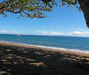 Vida Homes Condo Resort Dauin - Ocean View