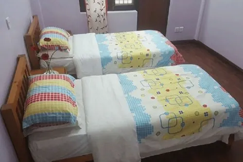 Queen Forest Homestay