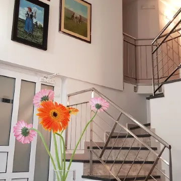 Galeria Nura