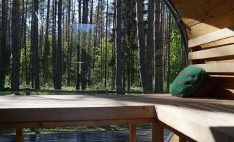 Metai Miške&a Year in the Forest
