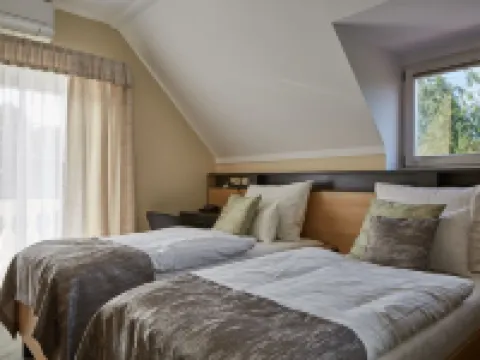 ゴールド ハウス パンジオ バラトンフレドのホテル