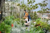 Hoshinoya Okinawa Các khách sạn gần Nirai Beach