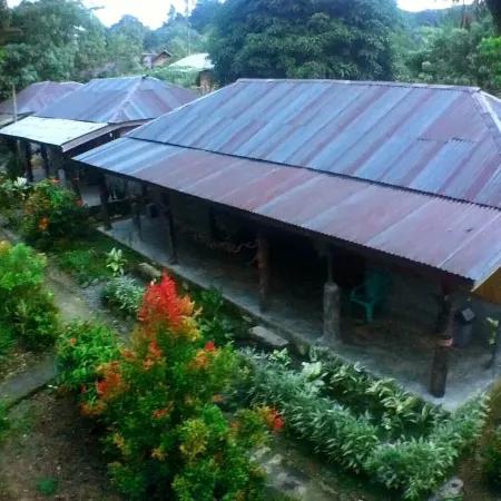 Green Lodge Tangkahan