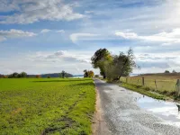 Gustow Garden Retreat