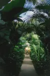 Bahala Na Villas - Villas
