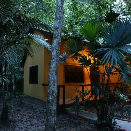 Amazon Ecopark Jungle Lodge