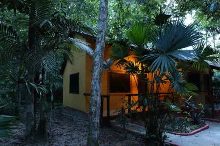 Amazon Ecopark Jungle Lodge Отели в г. Taruma