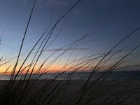 Spectacular Retreat - Parking, Library, Beach Access Hotels in Michigan City
