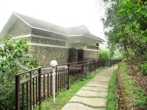 Misty Mountain Experience