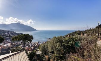 Seaview Apartment With Garden in Recco by Wonderful Italy