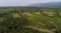 Aneli Villas - Villa Elissavet - 4-Star