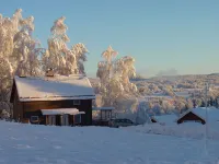 Hammarstrands Camping Hotels near H W T L Trädgård o Landskap