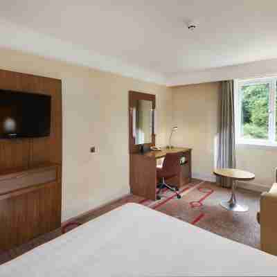 北紐伯裏希爾頓逸林酒店 Rooms